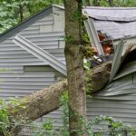 tree Damaged home after a storm